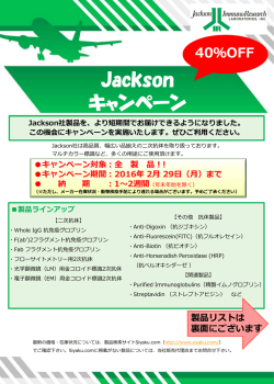 1020KB 4ページ