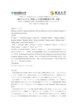 論文要約