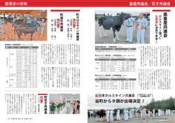 県畜産共進会