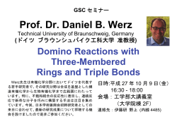 Prof. Dr. Daniel B. Werz