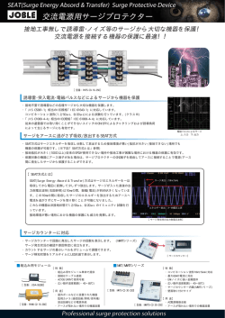 交流電源用サージプロテクター