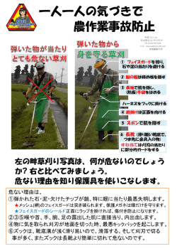 草刈作業の刈払機の保護具 - 片山安心コンサルタント