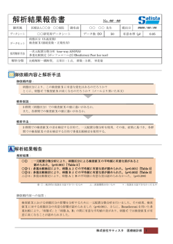 解析結果報告書