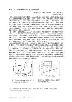 凝縮DNAの非線形力学応答と内部摩擦