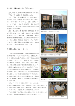 ヨーカドーの新たなスタイル「グランツリー」 先日、昨年 11 月に神奈川県