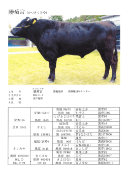 間接検定（PDF）