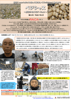 （発行日：2015年2月9日）【れんこん】 - alic｜独立行政法人 農畜産業