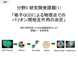 格子QCDによる物理点でのバリオン間相互作用の決定