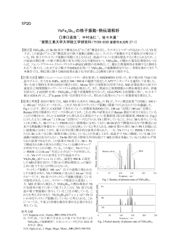 1P20 YbFe4Sb12 の格子振動・熱伝導解析