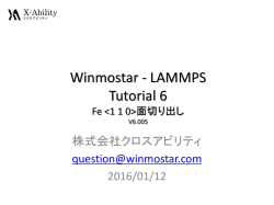 表面切り出し - Winmostar