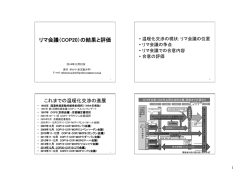 リマ会議（COP20）の結果と評価