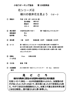 花シリーズ④ 梯川の彼岸花を見よう ウオーク