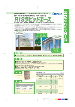 RISラピッドエース【PDF形式：2.1 MB】