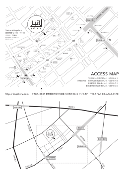 ACCESS MAP - iia gallery
