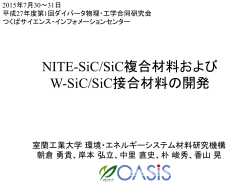 1 NITE-SiC/SiC複合材料およびW