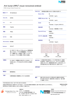 H6705 ヒト ERR&beta; (3-100 a.a.) の Baculovirus 発現物を免 疫した BALB