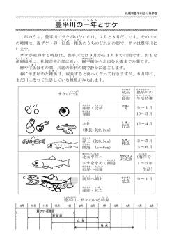 豊平川の一年とサケ