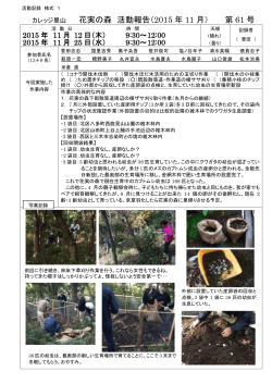 カレッジ里山 花実の森 活動報告（2015 年 11 月） 第 61 号