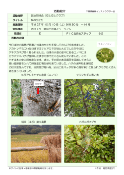 秋の虫たち - 千葉県森林インストラクター会