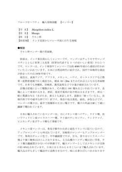 フルーツセーフティ 輸入果物図鑑 【マンゴー】 【学 名】 Mangifera indica
