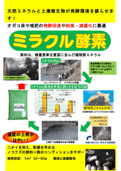 ミラクル酵素