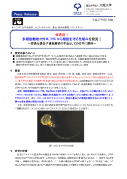 プレスリリースの全文を閲覧する（PDF3頁）