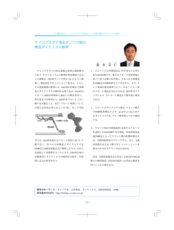 研究内容はこちらのPDFファイルをご覧下さい