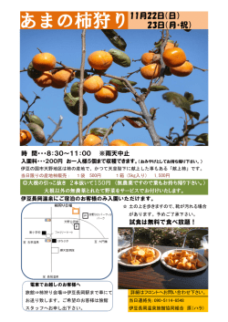 あまの柿狩り - 伊豆長岡温泉旅館組合