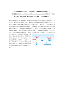 血管内皮細胞はインテグリン&beta;3を介して神経突起伸長を促進する