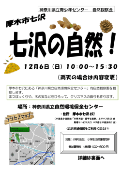 自然観察会 - 神奈川県立青少年センター科学部