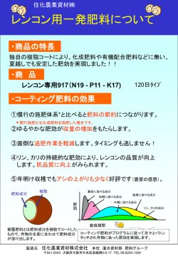 N19 - P11 - K17