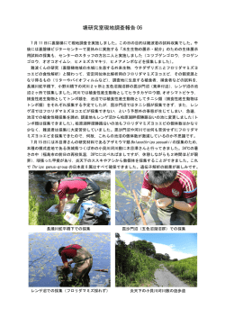 裏磐梯にて試料の採集