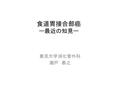 資料PDF