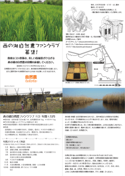 ファンクラブ募集チラシ