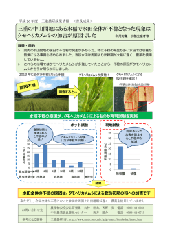 三重の中山間地にある水稲で水田全体が不稔となった現象は クモヘリ