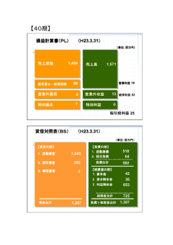 賃借対照表及び損益計算書