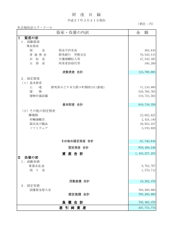 資産・負債の内訳 金 額 財 産 目 録
