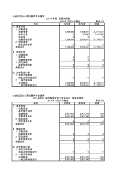 2014年度貸借対照表 (PDF文書)