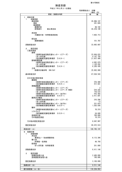 財産目録 （平成27年3月31日現在）