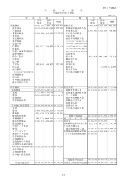 貸借対照表・内訳表