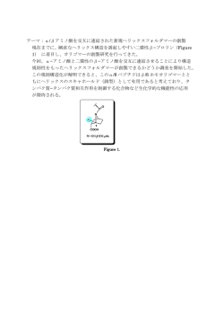 テーマ：α/βアミノ酸を交互に連結された新規ヘリックスフォルダマーの