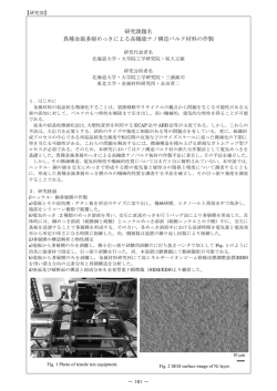 表面、界面 - 東北大学 金属材料研究所