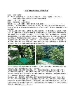 丹沢 檜洞沢沢登り山行報告書