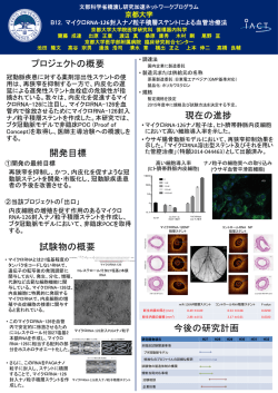 マイクロRNA-126 封入ナノ粒子積層ステントによる血管治療法