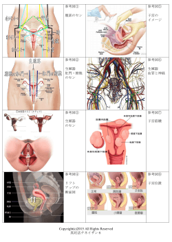 参考図① 腹部のセン 参考図⑤ 子宮の イメージ 参考図② 生殖器 肛門