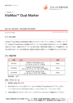 VisiMaxTM Dual Marker