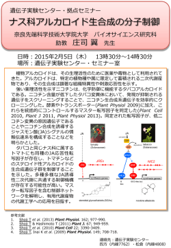 詳細PDFポスター