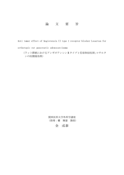 論文要旨（要約）