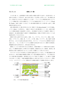 File No. 22 植物とけい酸