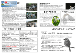 裏 - 油山市民の森・自然観察の森
